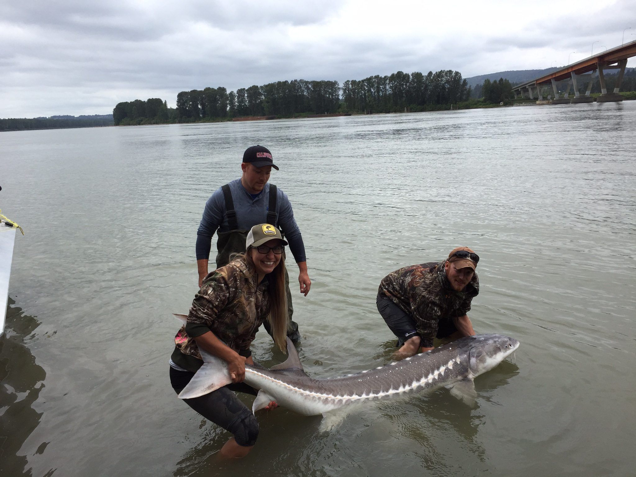 Angling for Sturgeon in Canadian waters - The Fishing Website