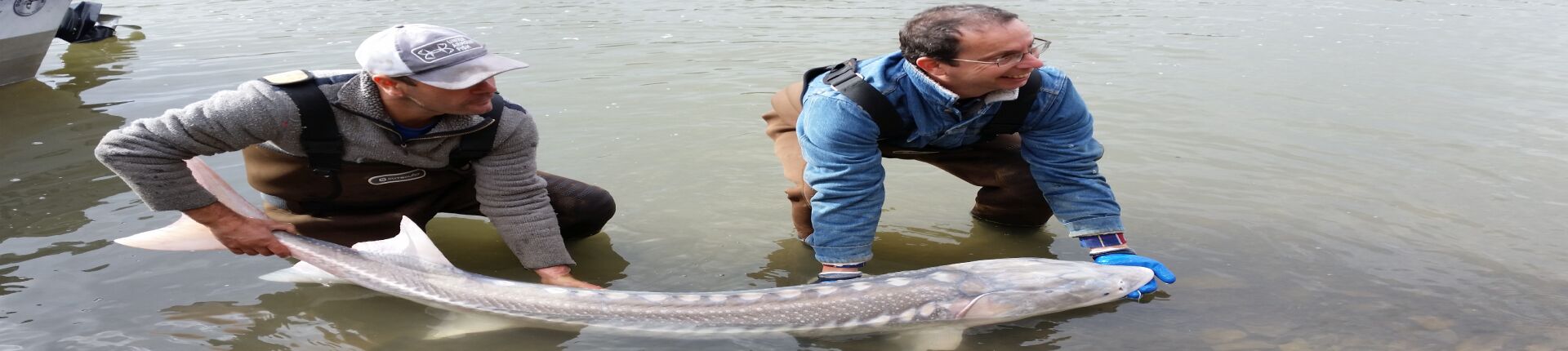 Guided Sturgeon Fishing Trips